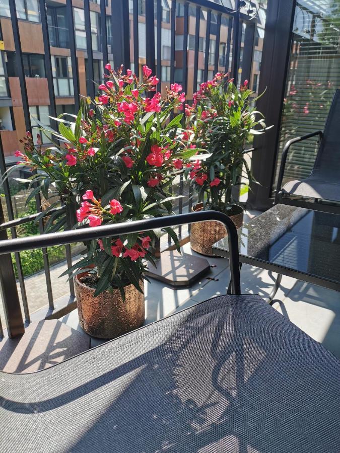 Cozy Apartment Ljubljana With Free Parking And Balcony Exteriér fotografie